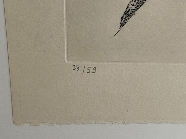 Královna a tetřev - 4